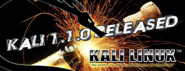 Kali Linux 110